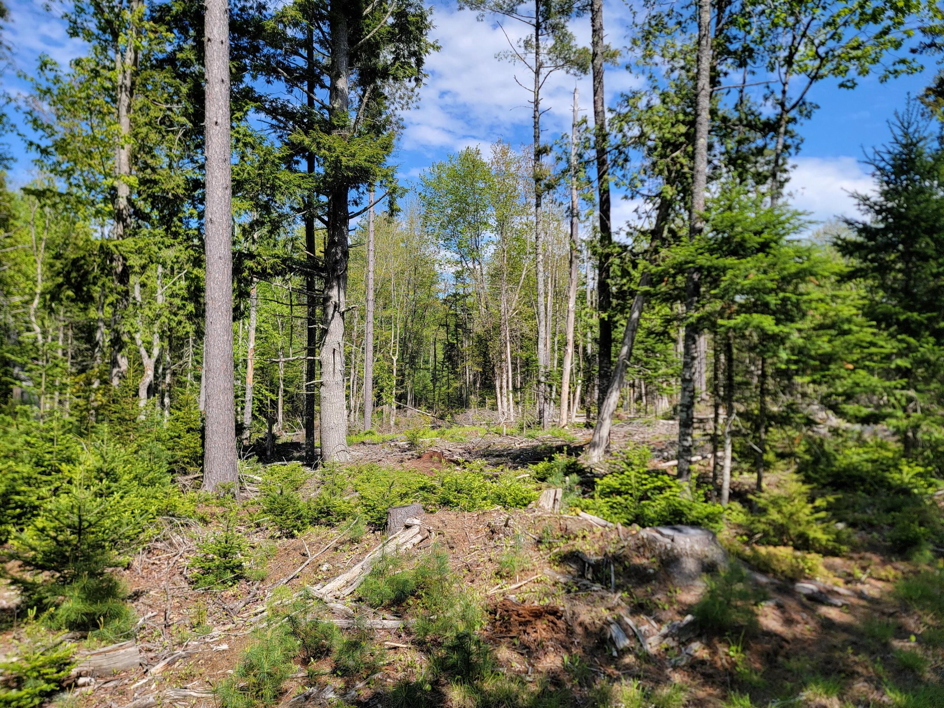 00 W Appleton Road Appleton ME 04862