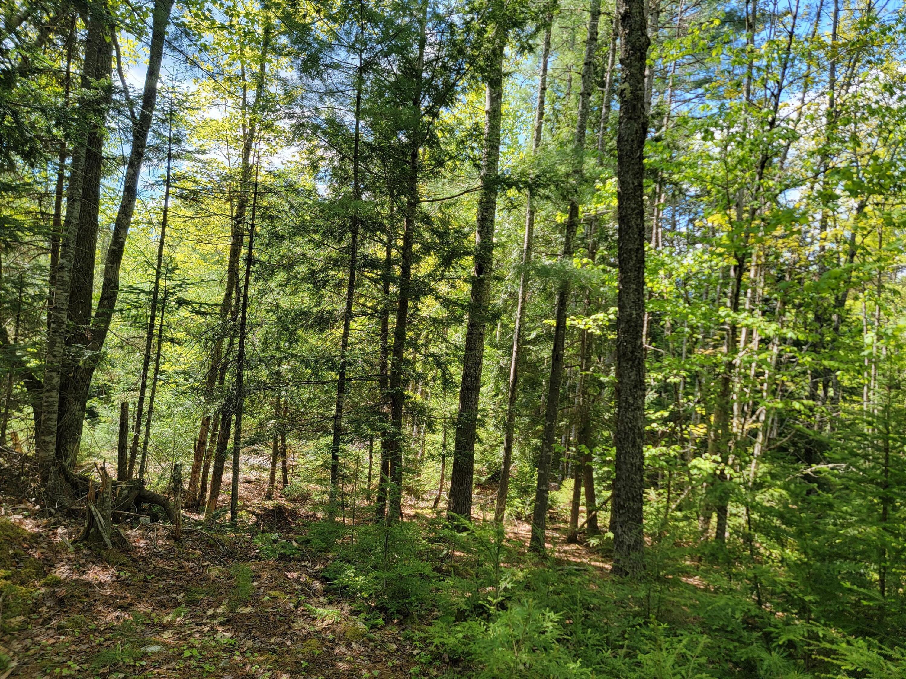 00 W Appleton Road Appleton ME 04862