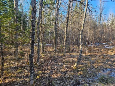 0 Cedar Lane Plymouth ME 04969