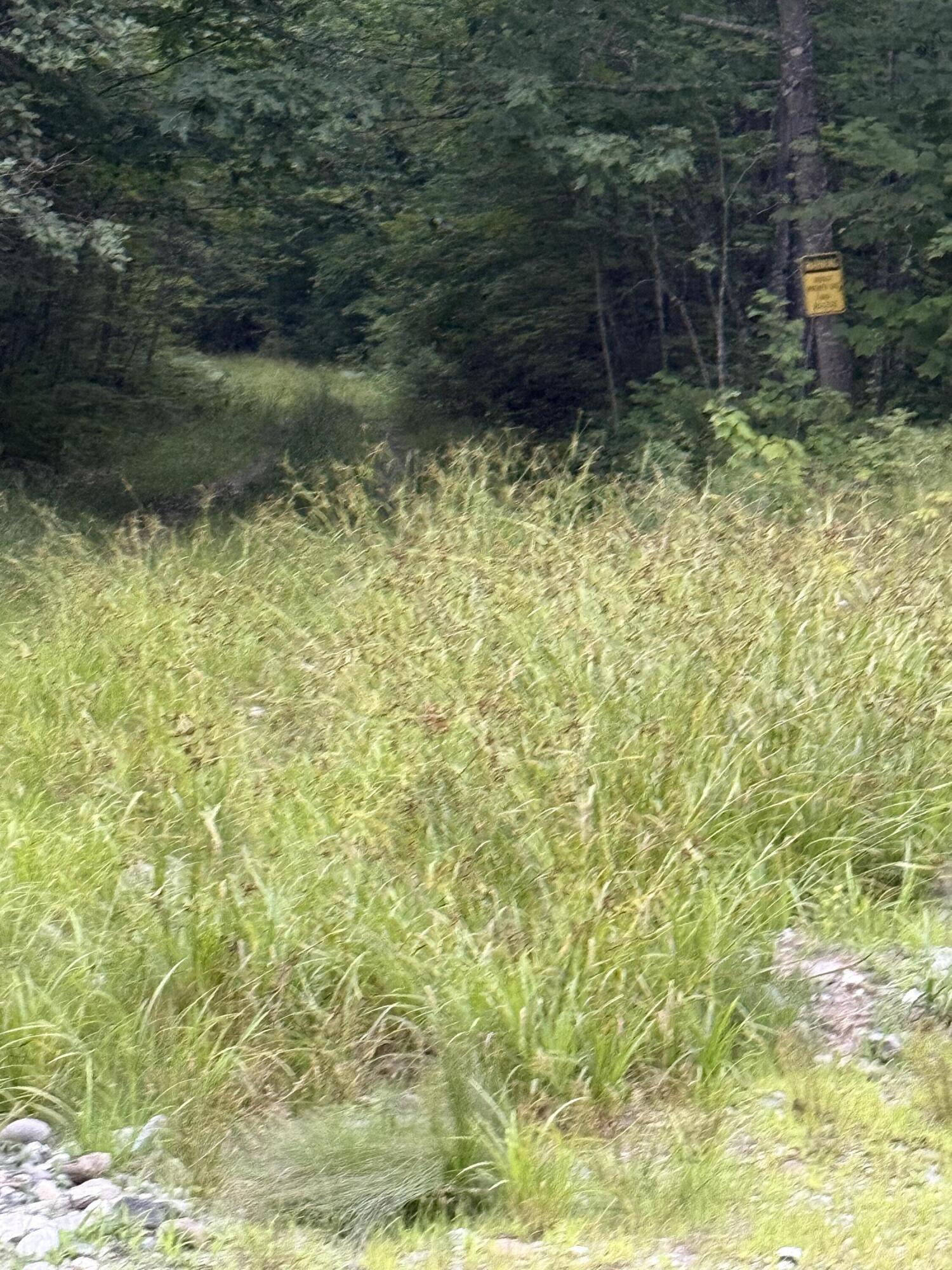 Lot 35 Messer Road Moscow ME 04920