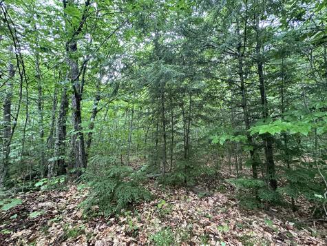 1-20 Claybrook Road Kingfield ME 04947