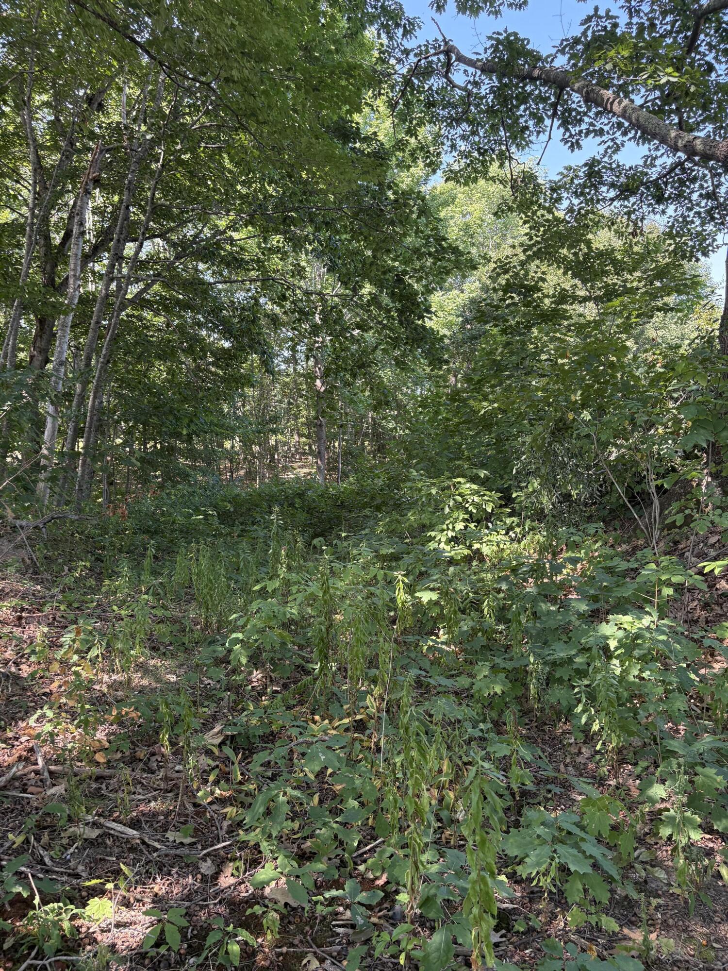33 Veterans Highway Brooks ME 04921