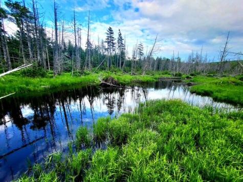 Lot 11 Morrison Brook Acres Oakfield ME 04763