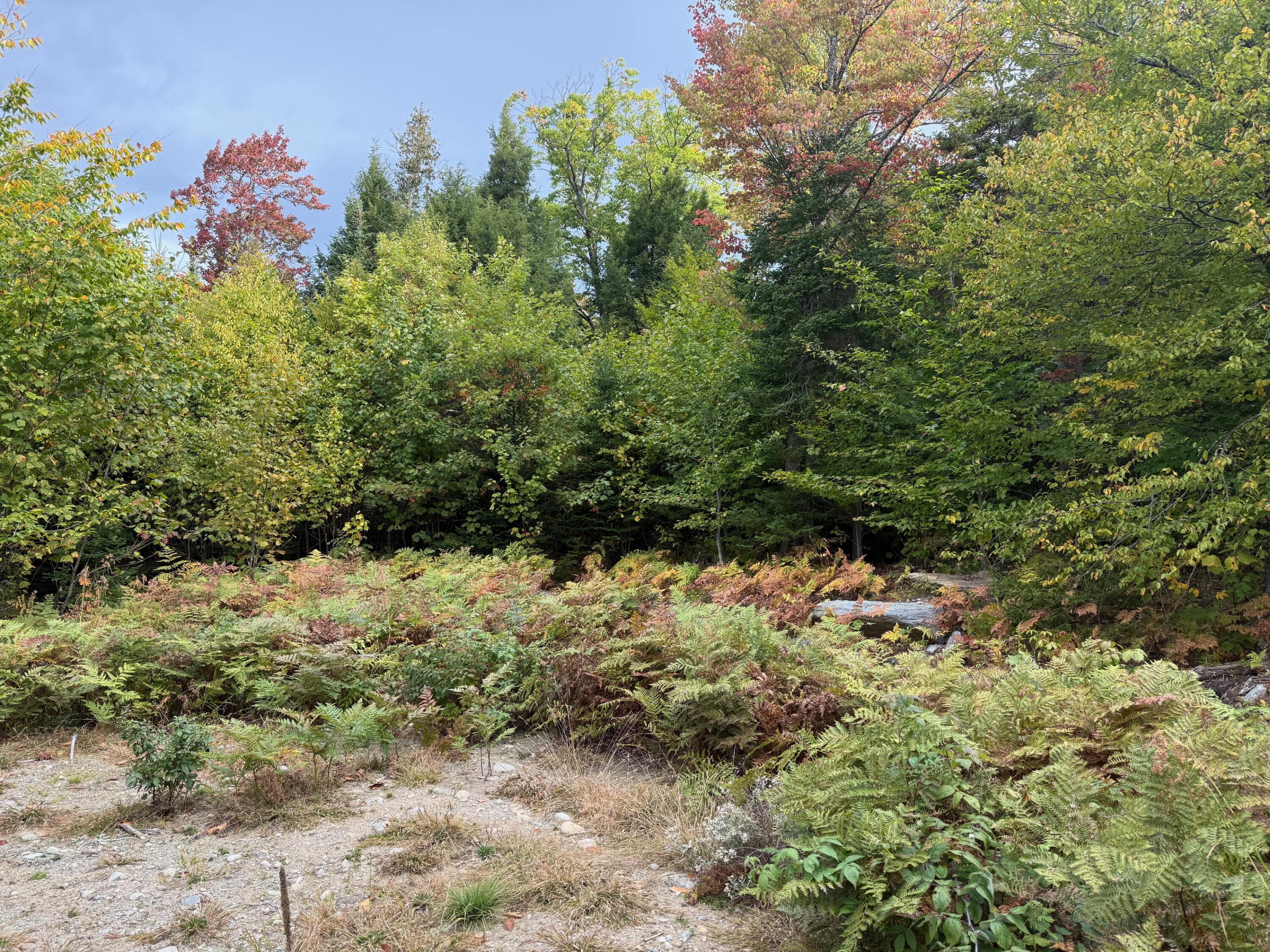 25-2 Sunset (eagle Ridge) Lane Kingfield ME 04947