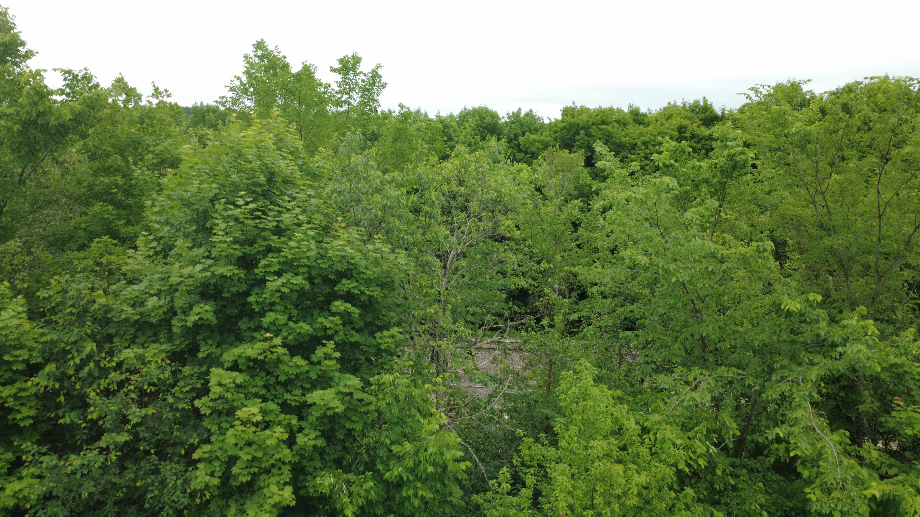 Lots 4-6 Station Lane Kingman Twp ME 04451