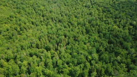 Lot 06 Mcintire Road Waterford ME 04088