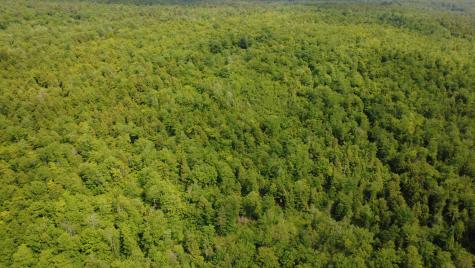 Lot 06 Mcintire Road Waterford ME 04088