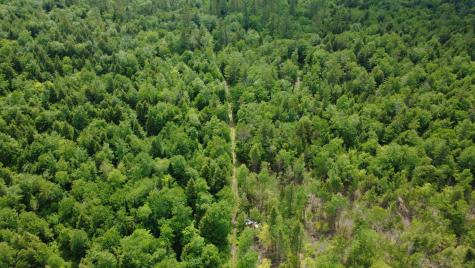 Lot 06 Mcintire Road Waterford ME 04088