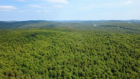 Lot 06 Mcintire Road Waterford ME 04088