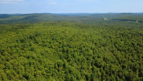 Lot 06 Mcintire Road Waterford ME 04088