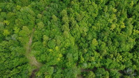 Lot 06 Mcintire Road Waterford ME 04088