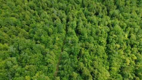 Lot 06 Mcintire Road Waterford ME 04088