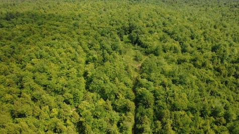 Lot 06 Mcintire Road Waterford ME 04088