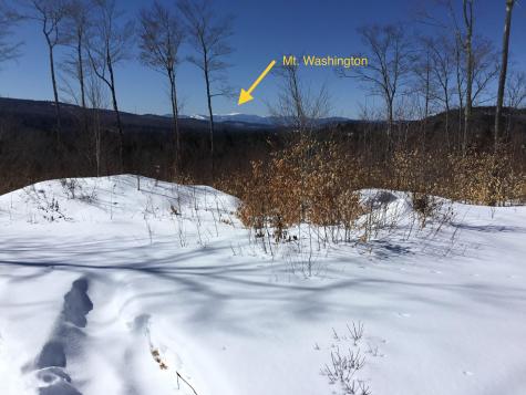 Lot 06 Mcintire Road Waterford ME 04088