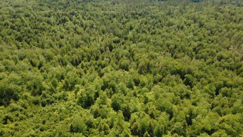 Lot 06 Mcintire Road Waterford ME 04088