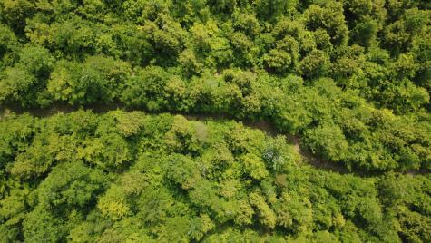 Lot 06 Mcintire Road Waterford ME 04088