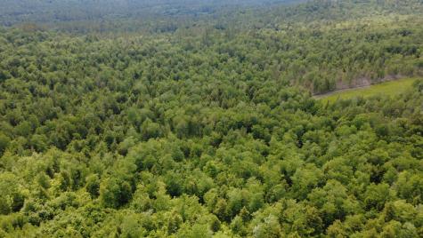 Lot 06 Mcintire Road Waterford ME 04088