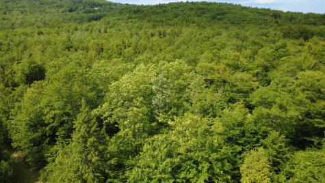 Lot 06 Mcintire Road Waterford ME 04088