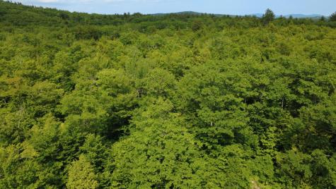 Lot 06 Mcintire Road Waterford ME 04088