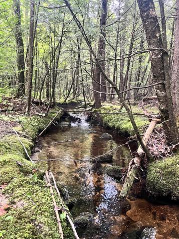 Lot 06 Mcintire Road Waterford ME 04088