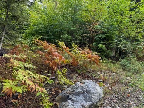 Lot 8 & 9 Moores Road Springfield ME 04487