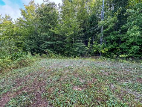 Lot 8 & 9 Moores Road Springfield ME 04487