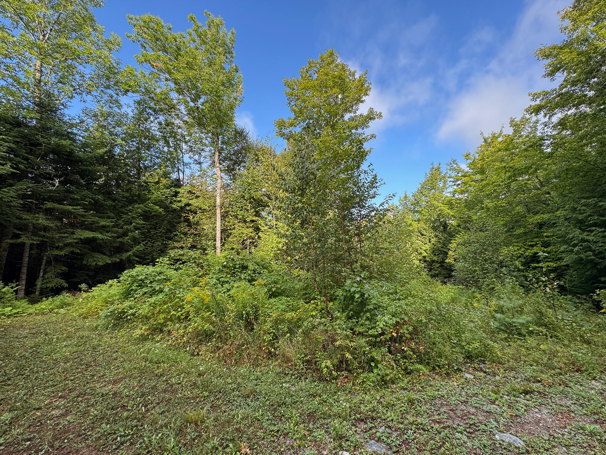 Lot 8 & 9 Moores Road Springfield ME 04487