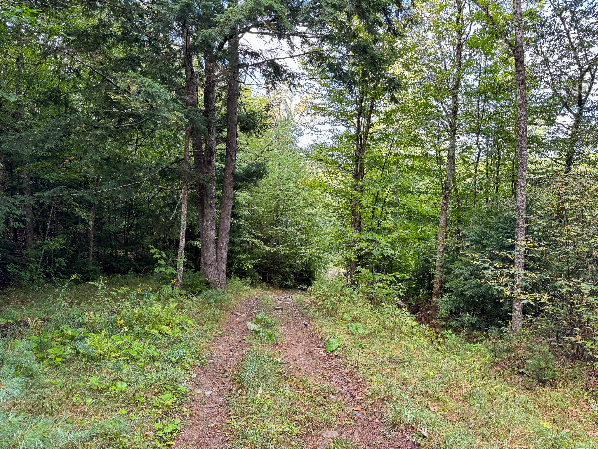 Lot 8 & 9 Moores Road Springfield ME 04487