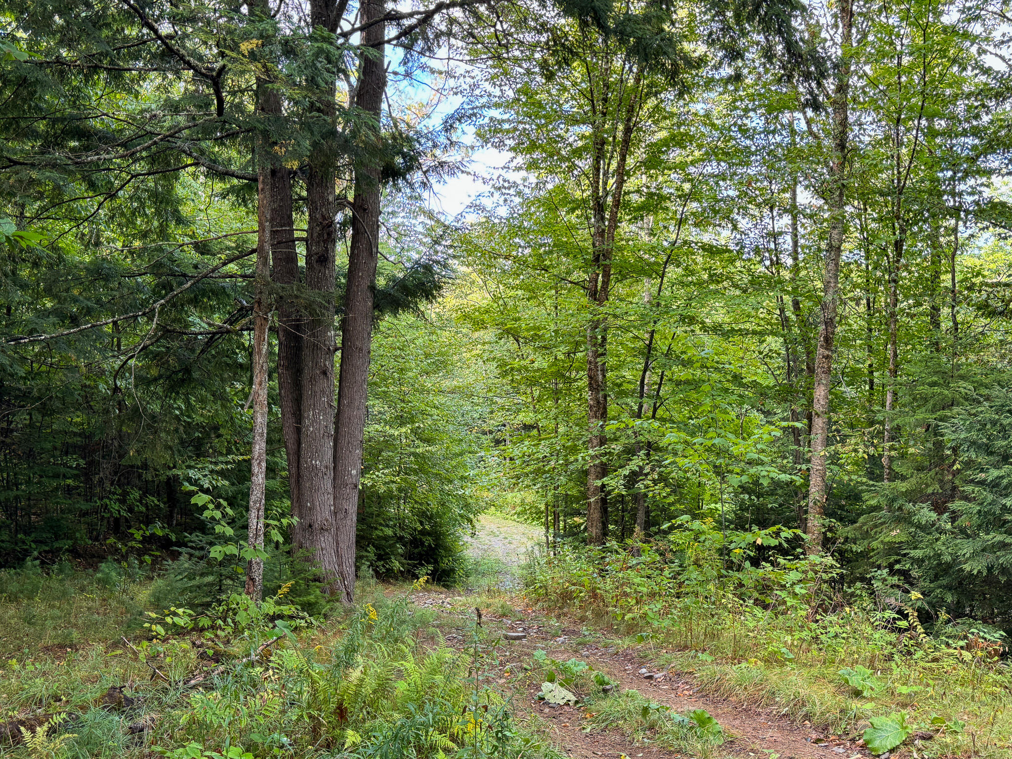 Lot 8 & 9 Moores Road Springfield ME 04487