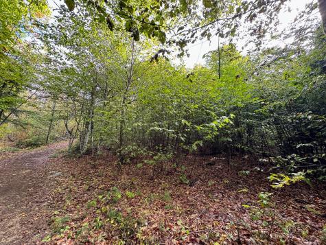 Lot 8 & 9 Moores Road Springfield ME 04487
