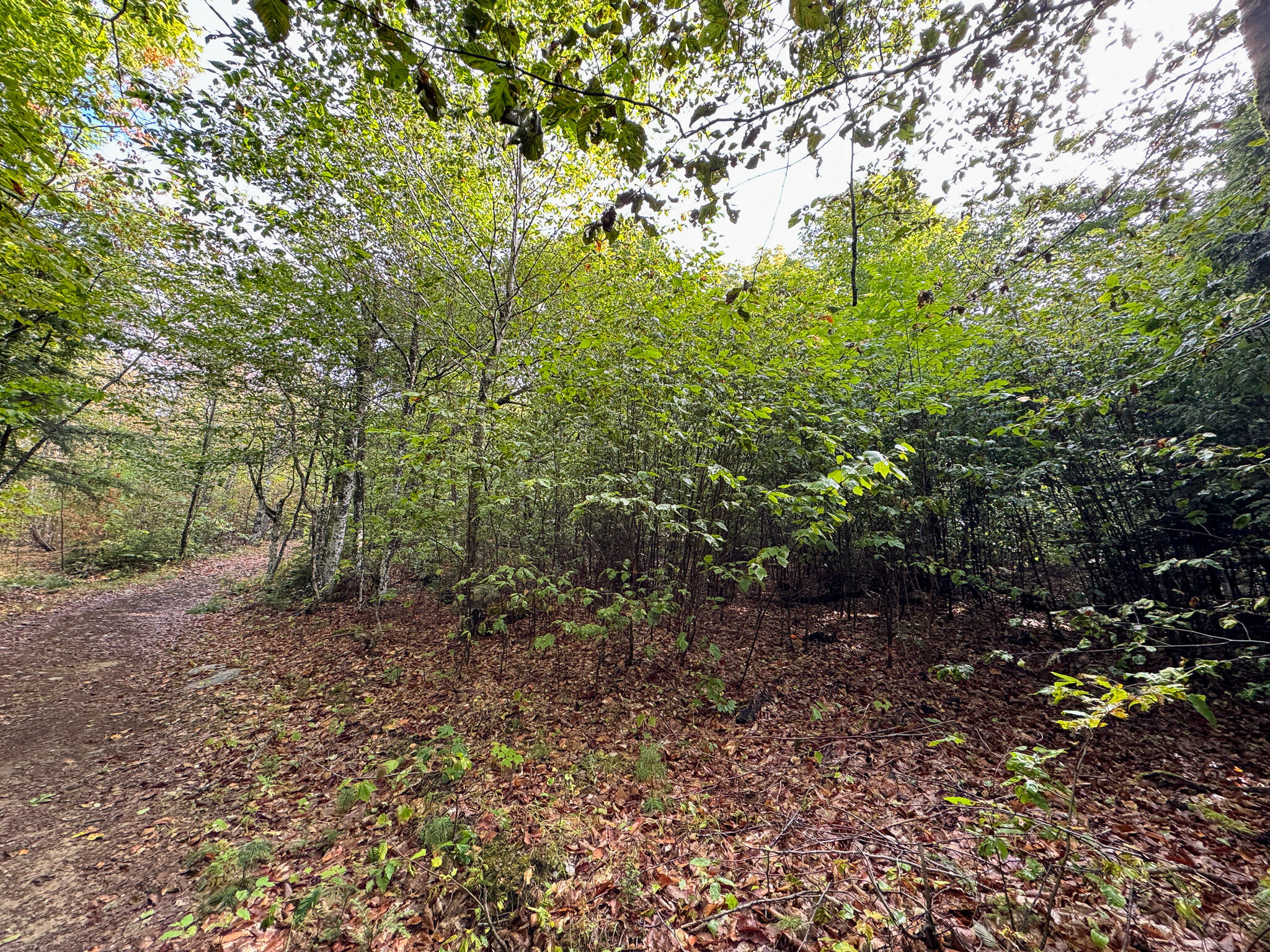 Lot 8 & 9 Moores Road Springfield ME 04487