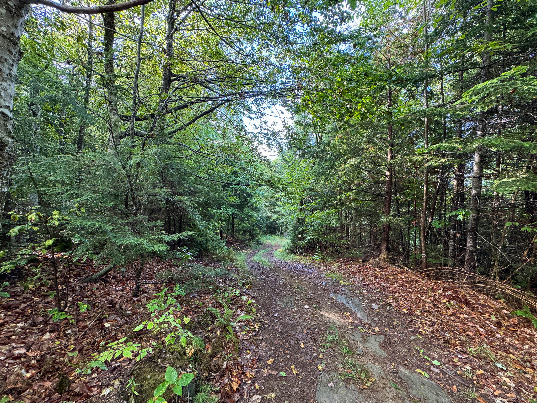 Lot 8 & 9 Moores Road Springfield ME 04487
