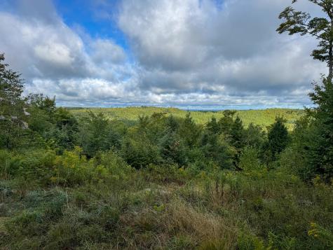 Lot 8 & 9 Moores Road Springfield ME 04487