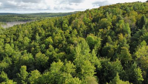 Lot 8 & 9 Moores Road Springfield ME 04487