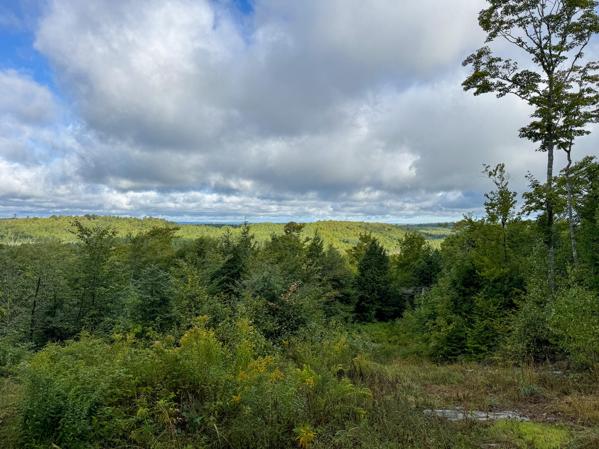 Lot 8 & 9 Moores Road Springfield ME 04487