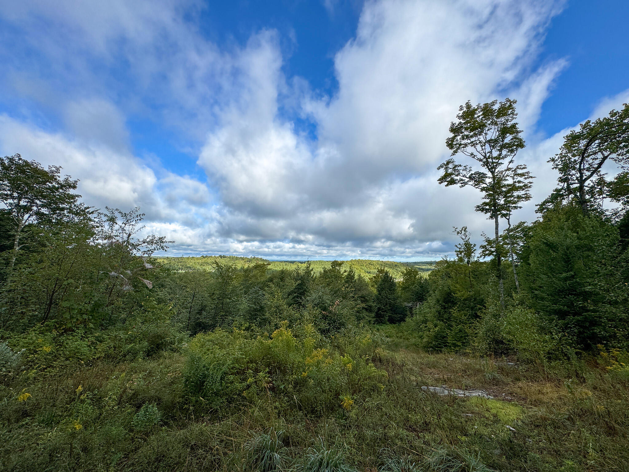 Lot 8 & 9 Moores Road Springfield ME 04487