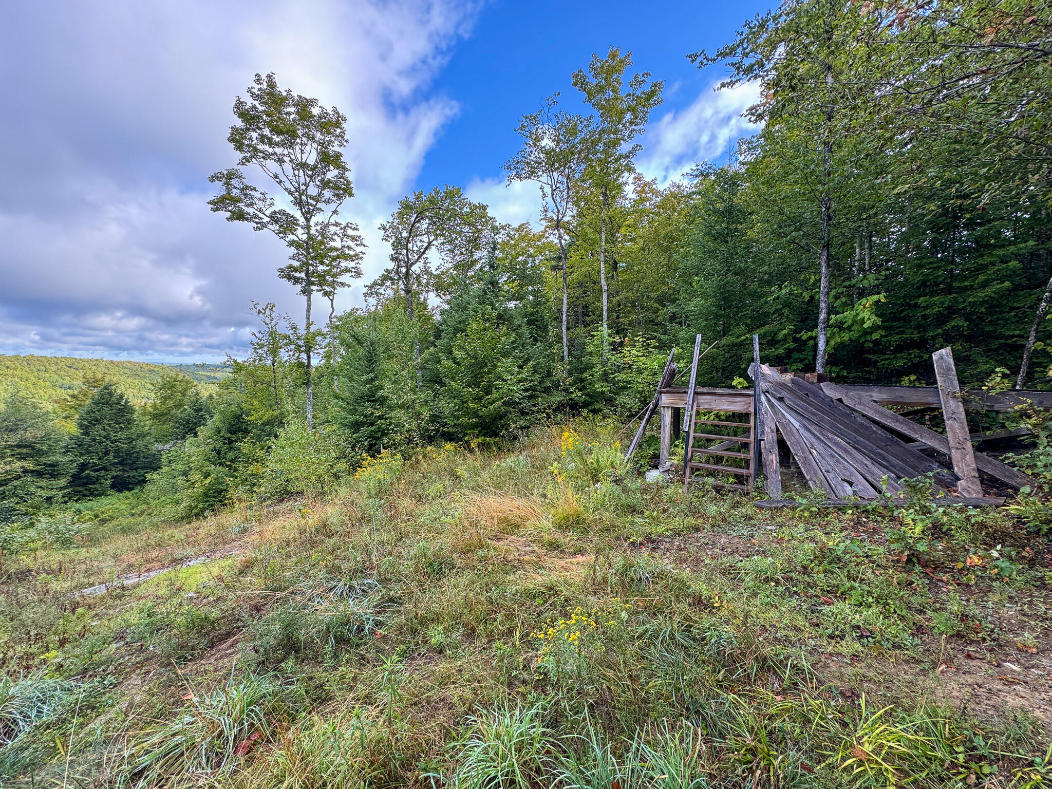 Lot 8 & 9 Moores Road Springfield ME 04487