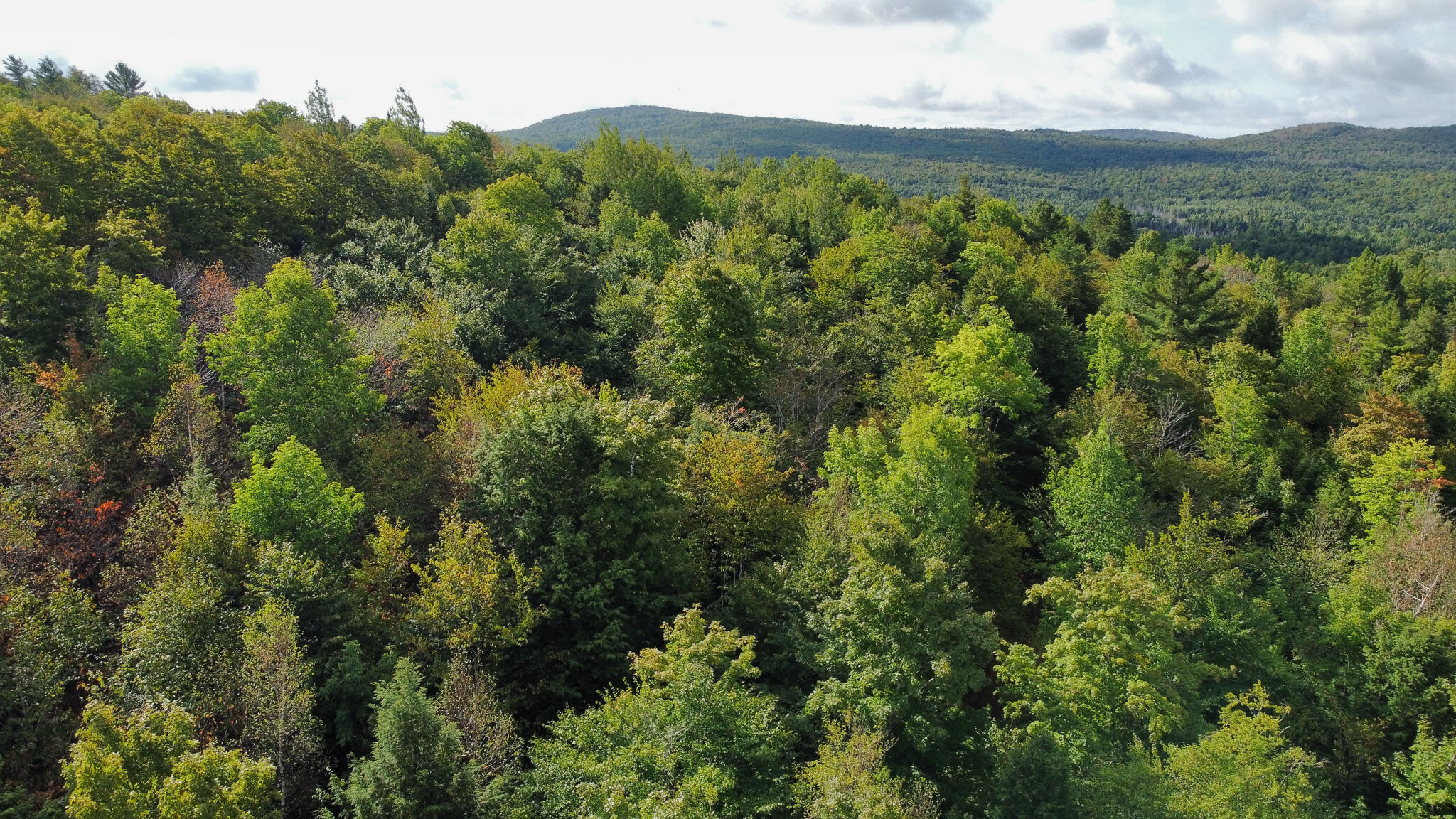 Lot 8 & 9 Moores Road Springfield ME 04487