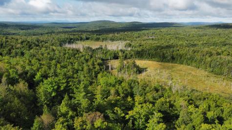 Lot 8 & 9 Moores Road Springfield ME 04487