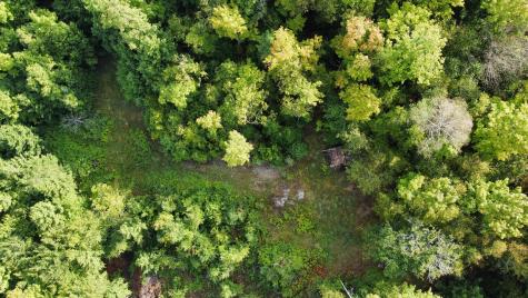 Lot 8 & 9 Moores Road Springfield ME 04487