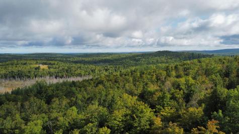 Lot 8 & 9 Moores Road Springfield ME 04487