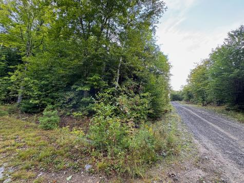 Lot 8 & 9 Moores Road Springfield ME 04487