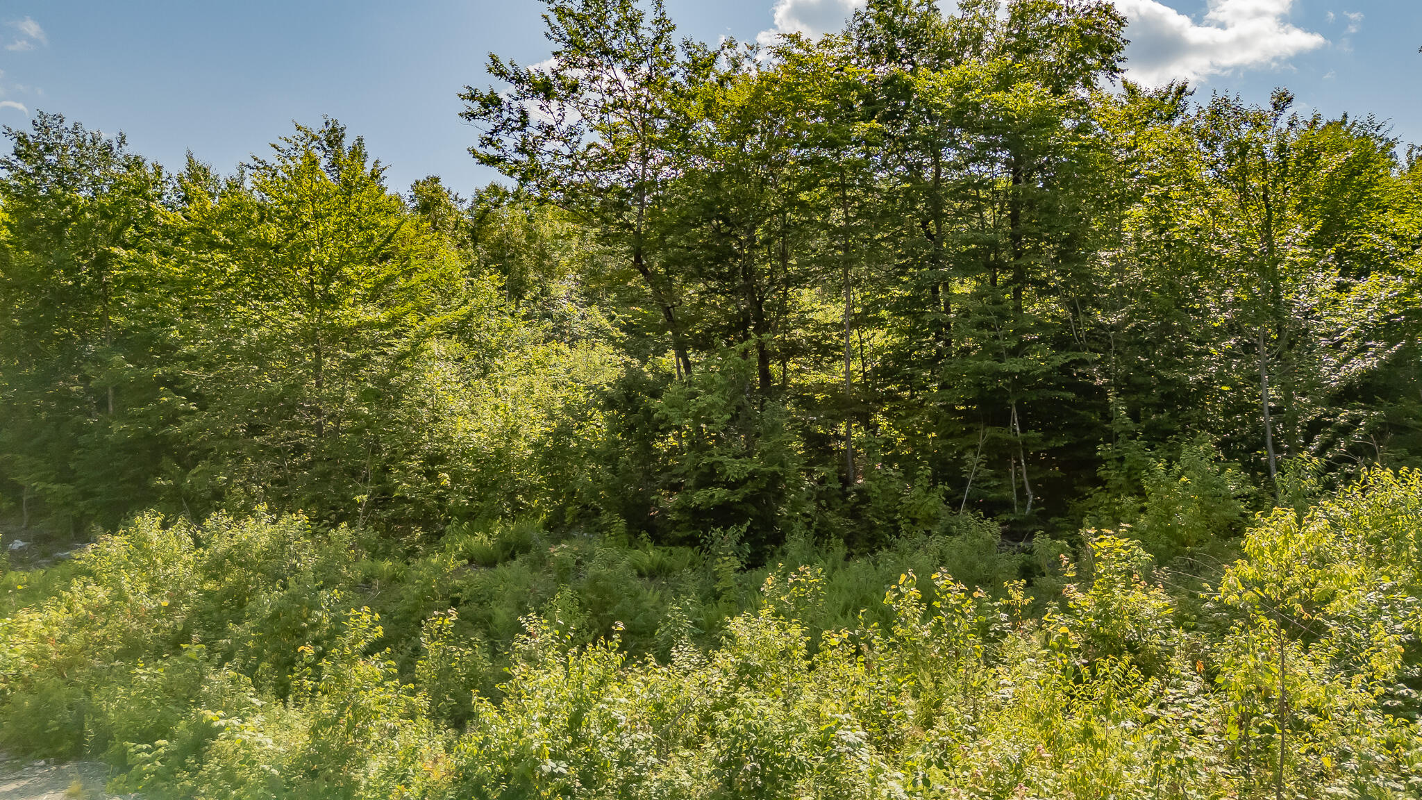 M6l9-a34 Russell Road Brownville ME 04414