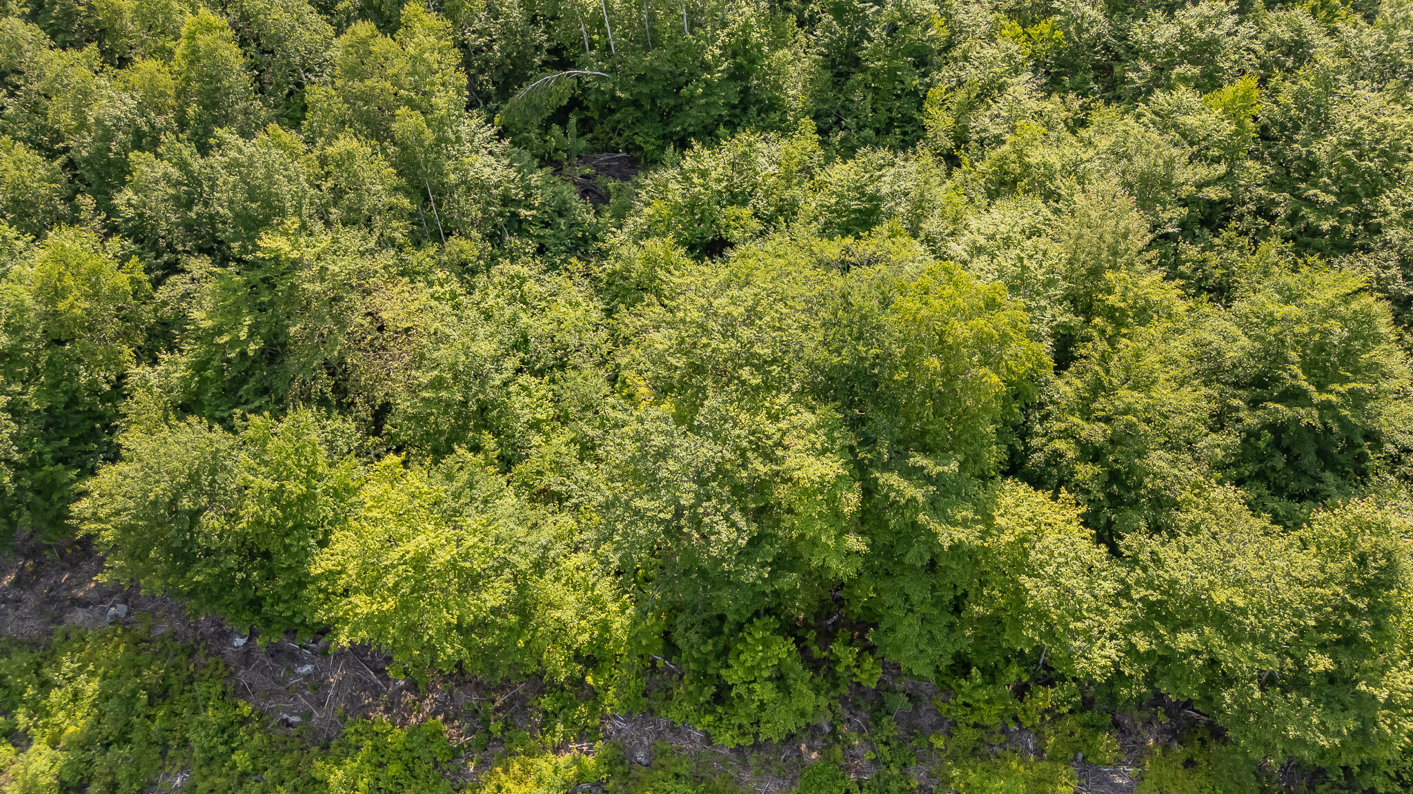 M6l9-a34 Russell Road Brownville ME 04414