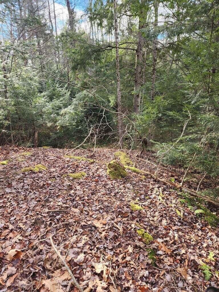 86 Oak Hill Road Belfast ME 04915