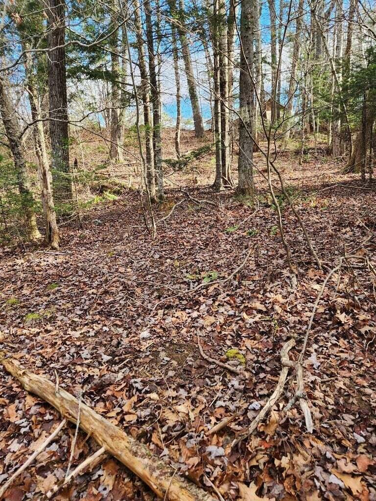 86 Oak Hill Road Belfast ME 04915