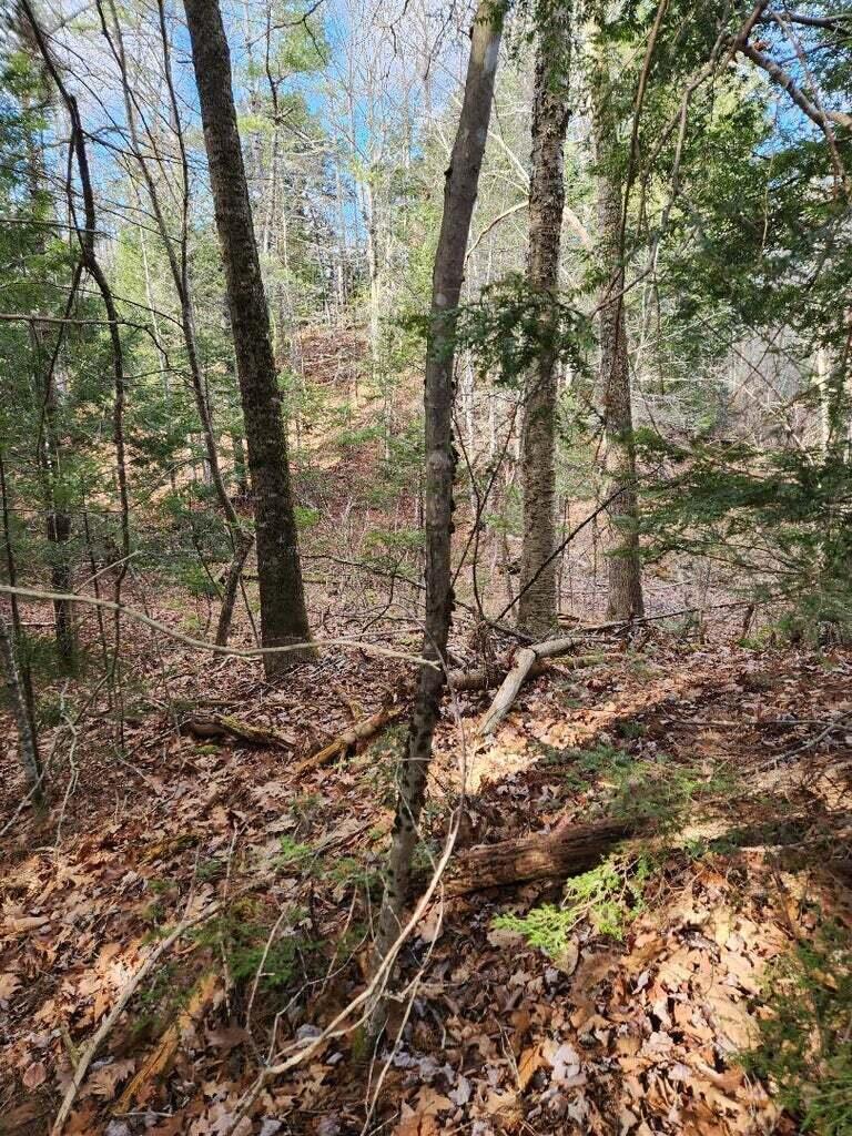 86 Oak Hill Road Belfast ME 04915