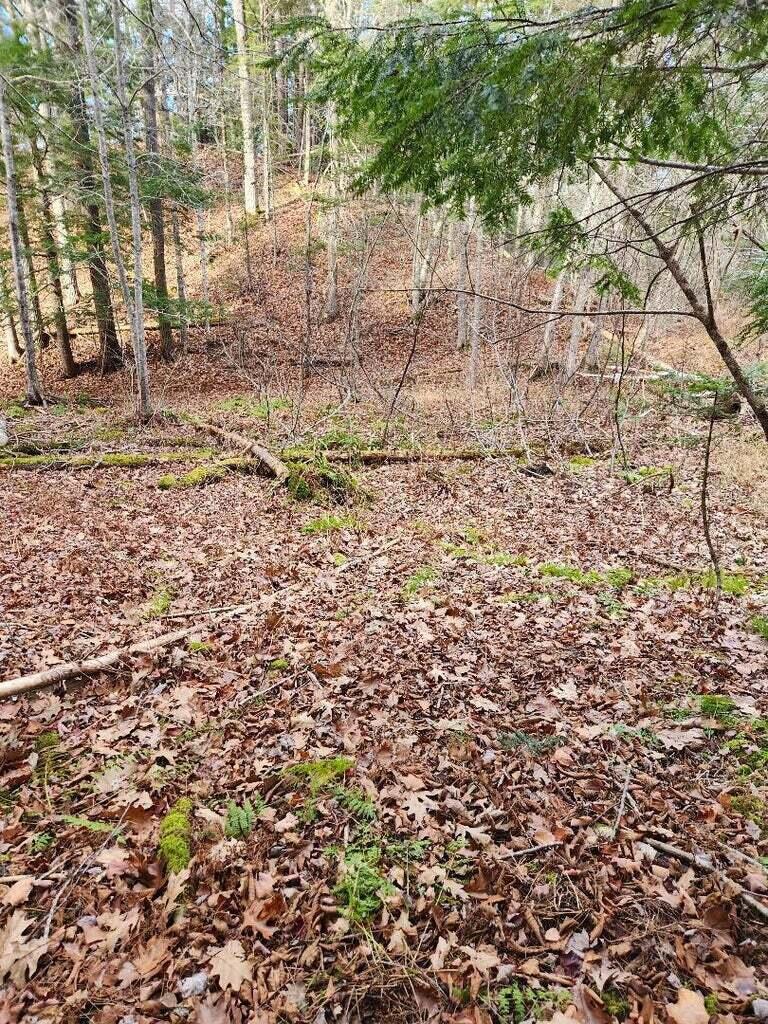 86 Oak Hill Road Belfast ME 04915