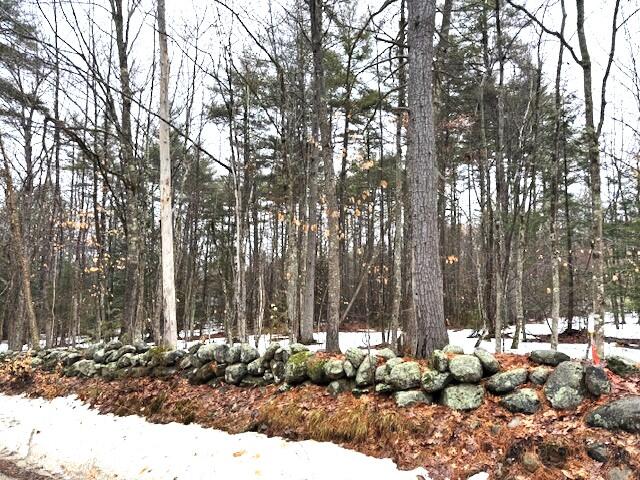 Lot# 1 Summit Road Gray ME 04039