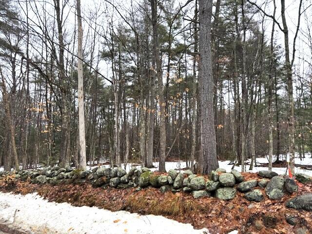 Lot# 1 Summit Road Gray ME 04039